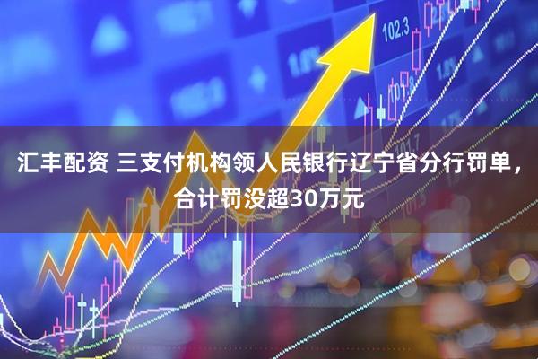 汇丰配资 三支付机构领人民银行辽宁省分行罚单，合计罚没超30万元