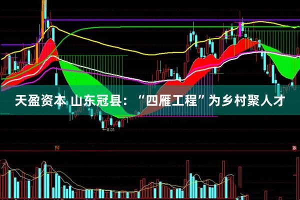 天盈资本 山东冠县：“四雁工程”为乡村聚人才