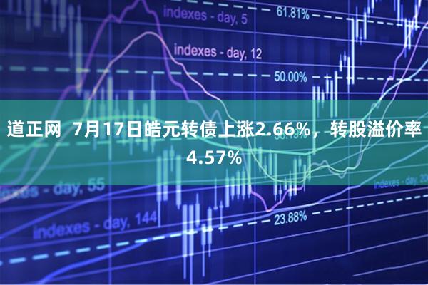 道正网  7月17日皓元转债上涨2.66%，转股溢价率4.57%