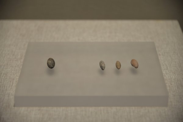 华泰优配 吾乡大藏·运城丨6000年前的半个蚕茧，力证嫘祖养蚕不是传说